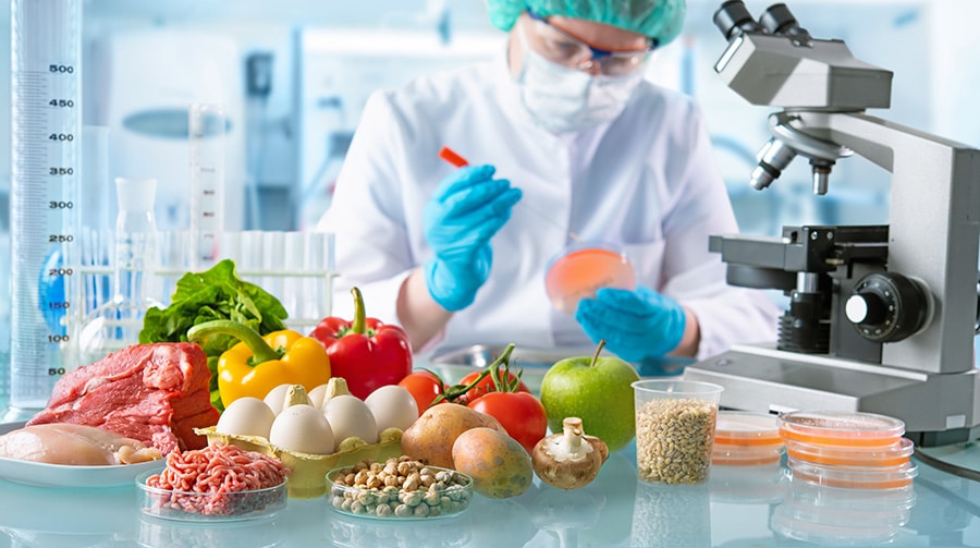 Ensuring Safe Produce: The Role of Environmental Testing in Food Safety
