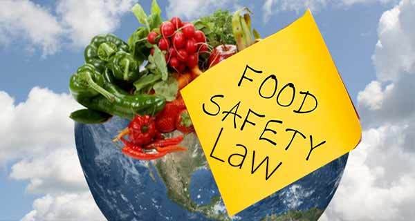 Navigating the Complexities of Food Safety Laws for Exporting to the USA