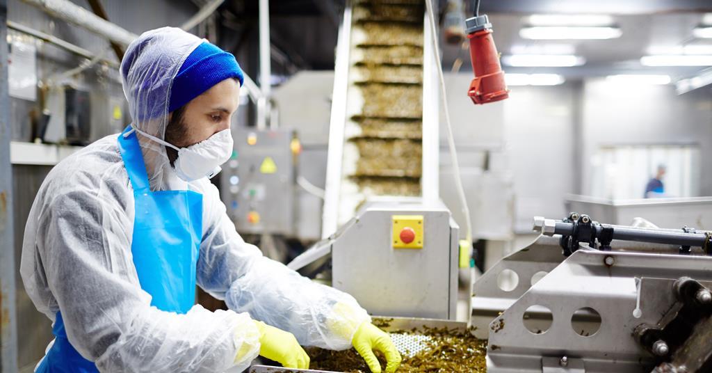 Navigating Labor Shortages in Food Processing: A Crucial Focus on Maintaining Food Safety