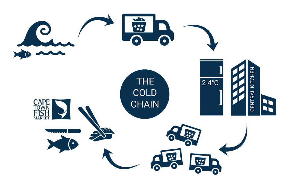 Unlocking the Cold Chain: The Critical Role of Transportation and Storage in Maintaining Food Safety