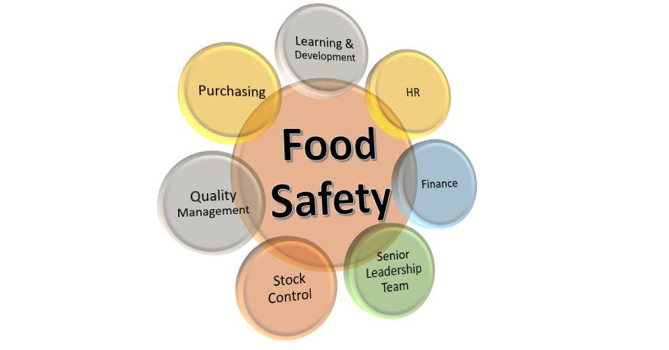 Cultivating a Robust Food Safety Culture: Key Strategies for Success