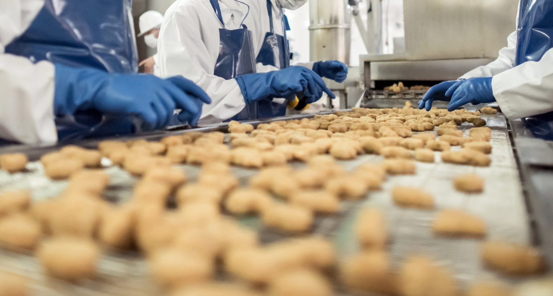 Stepping into the Future: Ensuring Optimal Food Safety in Your New Facility