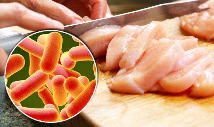 Meet the Salmonella in Food