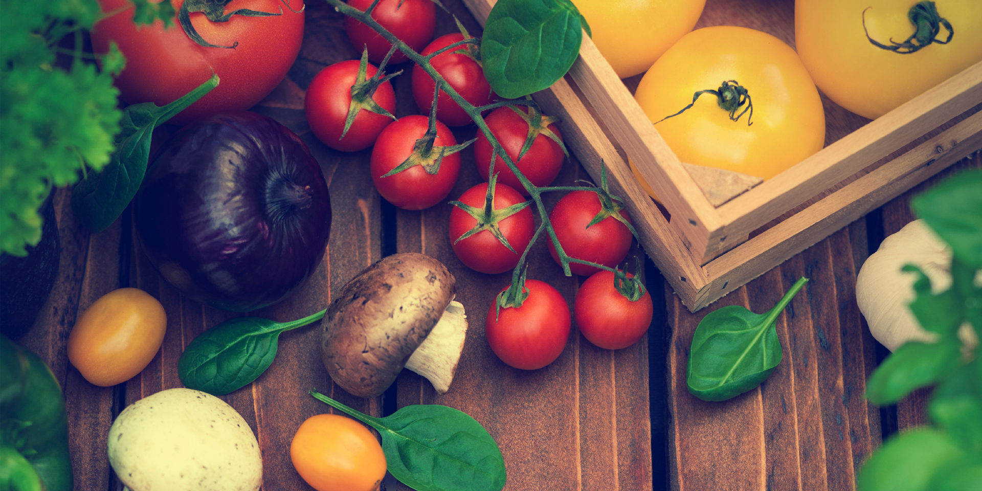 Celebrating World Food Safety Day: How Food Safety Software is Revolutionizing the Industry